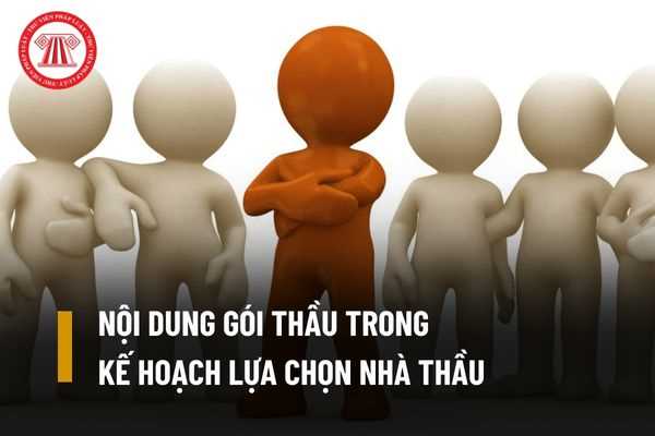 Nội dung gói thầu để lựa chọn nhà thầu có bắt buộc phải có đồng thời kết quả thẩm định giá và bản báo giá hay không?